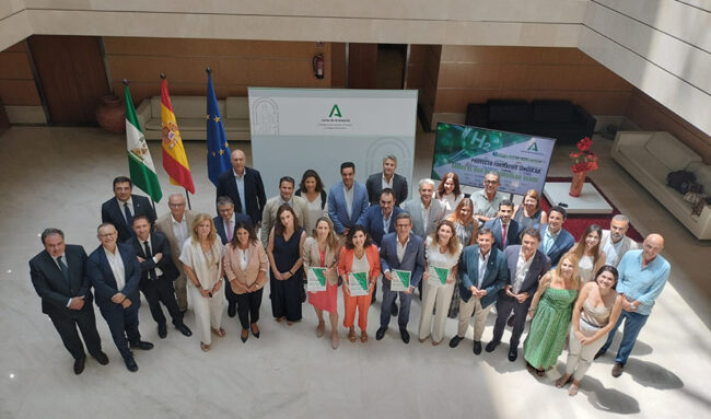 1752767531474Protocolohidrogenoverde_Est